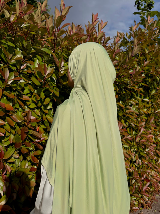 Light Sage Green